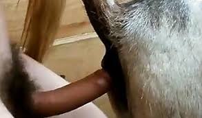 Girl fuck with horse jpg x Girls fucking horses