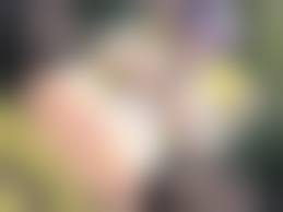 hentai akira pussy|Asa Akira Pussy | Asa Akira Porn Images | Luscious Hentai Manga & Porn