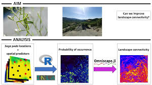 pedo collection|PATCH LOCAL PEDO