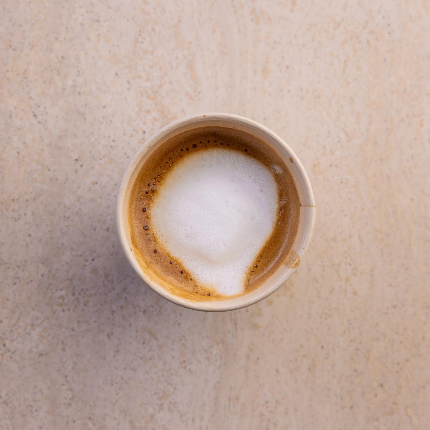 DODO BIRD Donuts by null