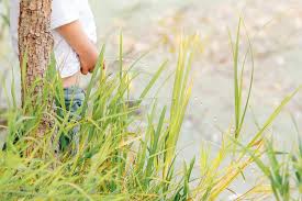 little girl pee standing|Little Asian Girl Need Pee Playground Stock Photo 478656796 | Shutterstock