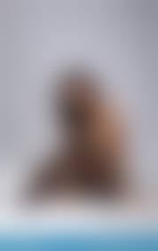 sport woman  nude|Slim, pretty nude women, sports women with beautiful athletic bo の Stock  フォト | Adobe Stock