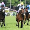 【日本ダービー】ドウデュース レースレコードで７５２２頭の頂点 ...