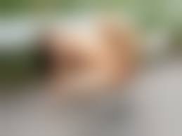 tumblr 素人 放尿 無修正|제목 없음 - Tumblr Blog Gallery