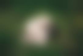 голая мама при детях дома|Голая мама при детях: Лучшие порно видео на xHamster за 2025 | xHamster