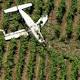 Minor Injuries After Plane Carrying 17 Skydivers Crashes At Central Valley Vineyard 