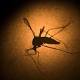 Scientists make malaria 'breakthrough' 