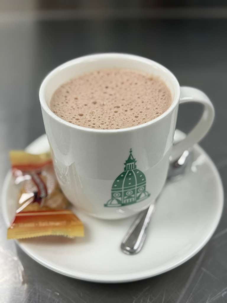 BOTTEGA Fiorentina by null