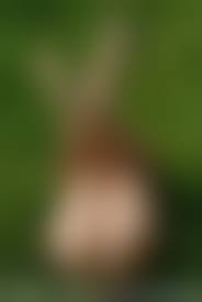 pisya.wap.ua naked 4|portrait act179 : ＊＊＊＊～GIRLs Photograph～