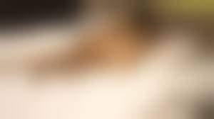 Bokep tante ngentot|Bokep Tante Tante Porn Videos: 720p HD XXX 2025 | xHamster