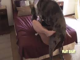 Horny wife craves doggy to fuck her zoophilia porn zoophilia porn with dog at madnessporn jpg x Wife fuck dog