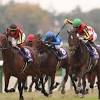 【マイルＣＳ】グランアレグリアが引退レースで６度目のＧ１制覇 ...
