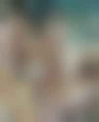 ヌード　ファミリー|ファミリーヌード(大竹省二、柴田宏二) / 古本、中古本、古書籍の通販は「日本の古本屋」 / 日本の古本屋