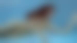  virgin pure nudism|Naked Britain: Amelia Allen's revealing documentary of British naturism |  Creative Boom