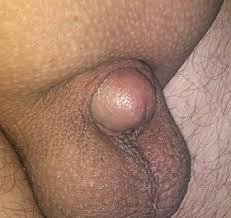 中学 ちんぽ　無修正|Porn