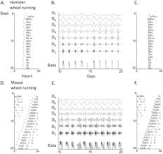 siberian mouse tanya nude|Gregory Allicar Museum of Art - Pia Zadora