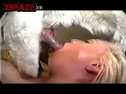 Sucking dogs and swallowing dog cum jpg x Swallows dog