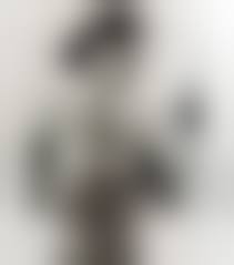 hari nude|the real story of mata hari