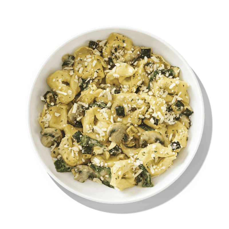 Noodles and Company by null