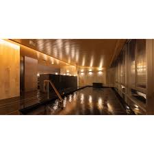 tokyohot 114|森沢かな - Wikipedia