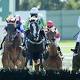 No stopping Now And Zen at Bendigo; newcomer could run in Grand National 
