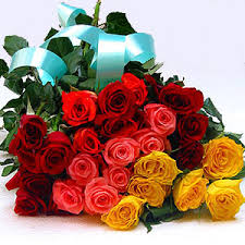 http://t3.gstatic.com/images?q=tbn:ANd9GcQJLJioCwTL7M9hNhHz3x5zf7XgL7Tiy8dZ9TfT-rDoIi1WiCTelQ