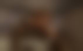 badonion hentai 3d 52|Horse Breeder part 2 by BadOnion - Hentai Foundry