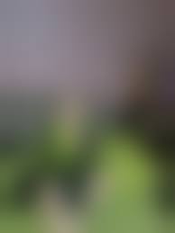 Nonude|Sexy Teens nonude 18+ Pics at Nuvid