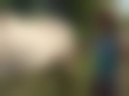 horse bestiality young|Bestiality Swingers ::. Young black girl fucks with a horse for the first  time