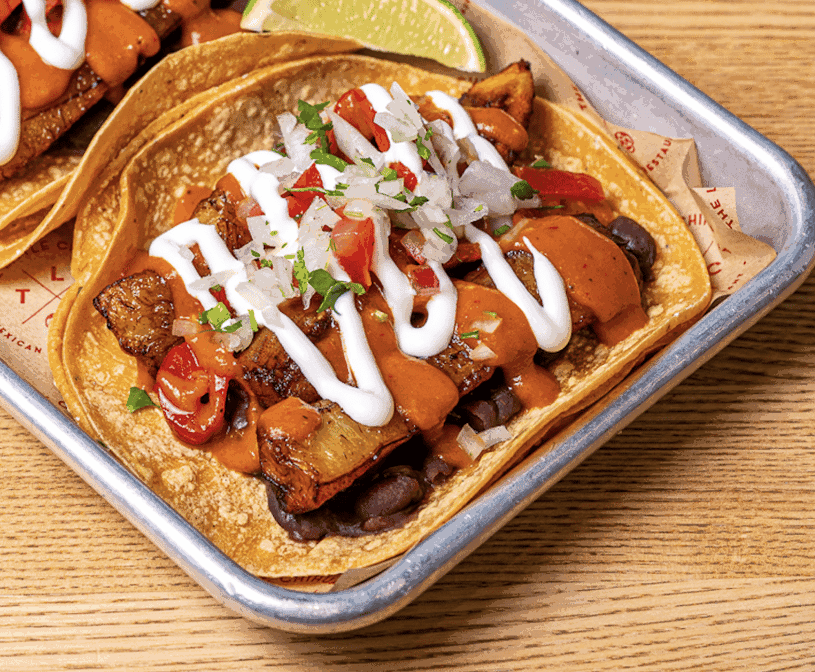 The Little Chihuahua by null