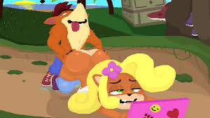 Rule if it exists there is porn of it malcontentus coco bandicoot crash bandicoot jpg x Crash bandicoot coco