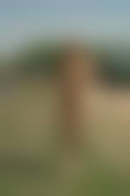  nude girl teen russian|Lovely Russian Teen Getting Naked - Met-art | Picture 01