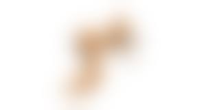 解剖 裸 女|閲覧注意】女性死体の検死解剖を撮影したグロ画像。 | カルマニマ（カルマニア）