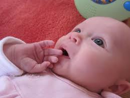  rajce  babyrajce idnes|Liberec 2012/Adélka – matko6842 – album na Rajčeti