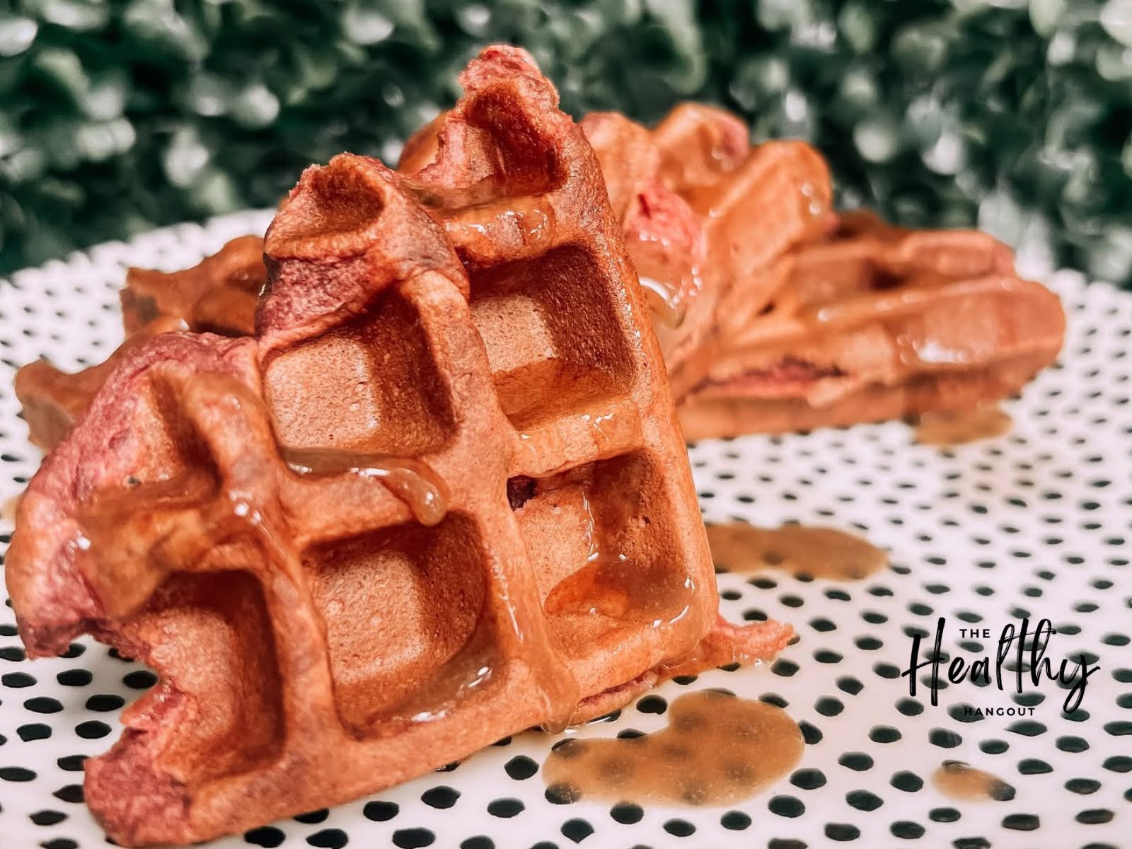 The Healthy Hangout by null