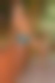 kvetinas Naomi  nude|Naomi Watts Nude Boobs In Movie – Paparaco