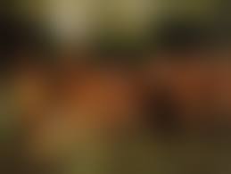 summer nudist |Vector Summer Party Invitation Beach Nudist Style. Day, Dj Bare, Woman  Nude. Posters Or Flyers. Template Flat Cartoon Illustration. Royalty Free  SVG, Cliparts, Vectors, and Stock Illustration. Image 59706880.