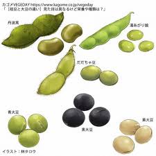 masha babko nude pussy|Newsletter