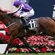 Aidan O'Brien plans Melbourne spring raid 