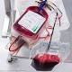 Brisbane boy to receive blood transfusion despite objection by Jehovah's ... 