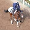 【シンザン記念】マイル未経験馬ペースセッティングの弾ける末脚 ...