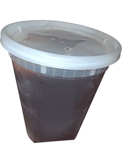 Fortune Cookie Kitchen by null