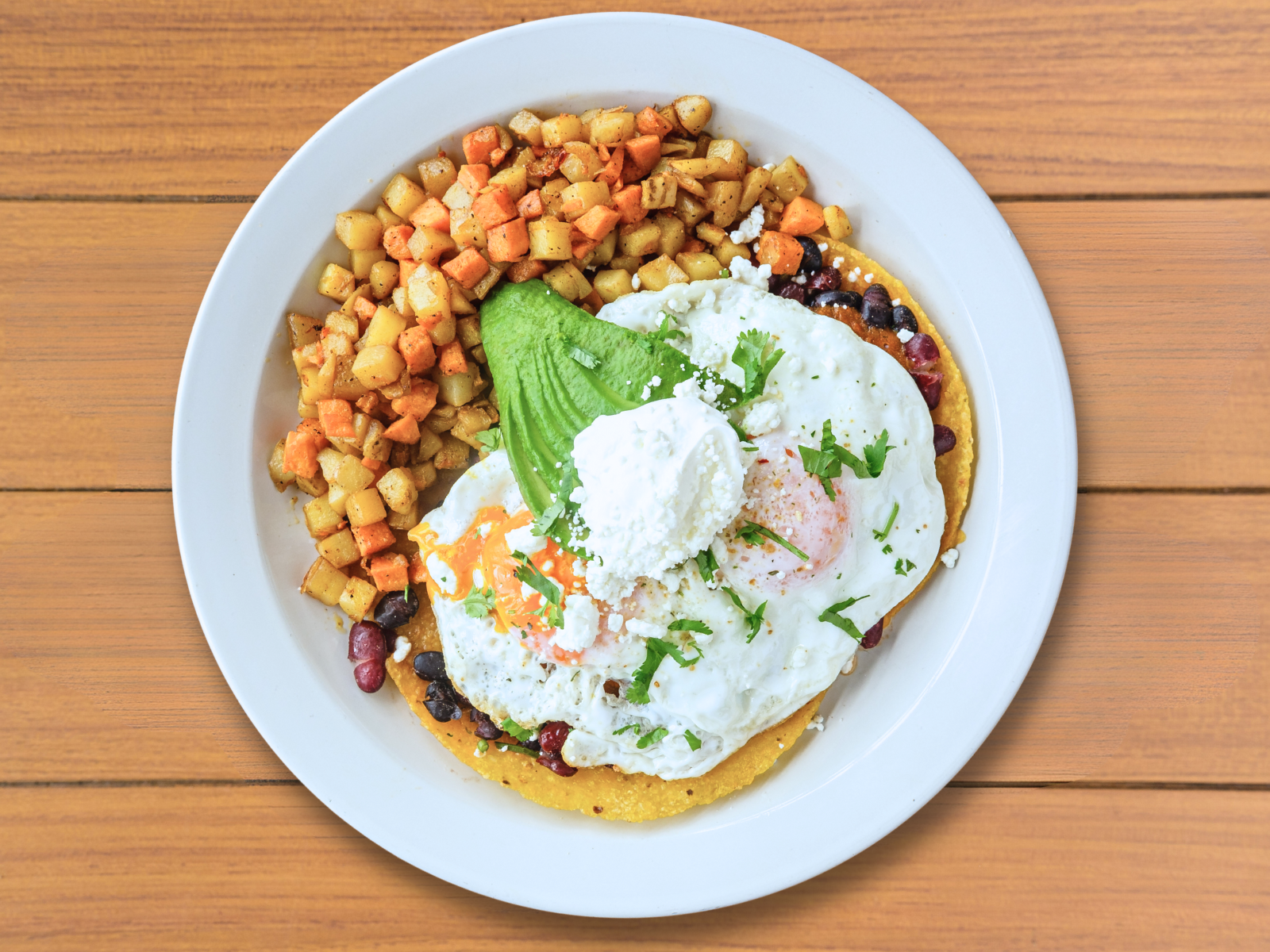 Active Culture by null