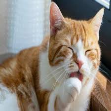 텀블러누드합성  fake 릴카|Support Archive | Hobie