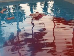  purenudism pool 10|飯田雅春 iida.ms NEWSblog: 2010年11月 アーカイブ