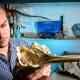 Fossil ear reveals ultra-ancient origins of dolphin communications 