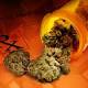 Senator Offers Roadmap For Marijuana Changes 