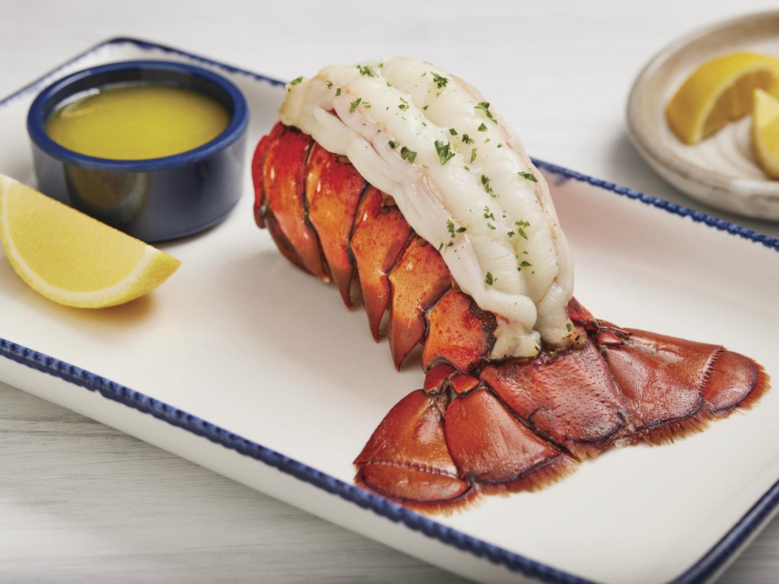 Red Lobster by null