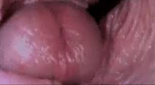 Internal cum jpg x Internal cum