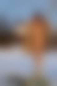  Russia nudest|Free Public Nudity - Nude-In-Russia.com - beautiful young russian girls  bearing it all nude in public, all exclusive pictures!